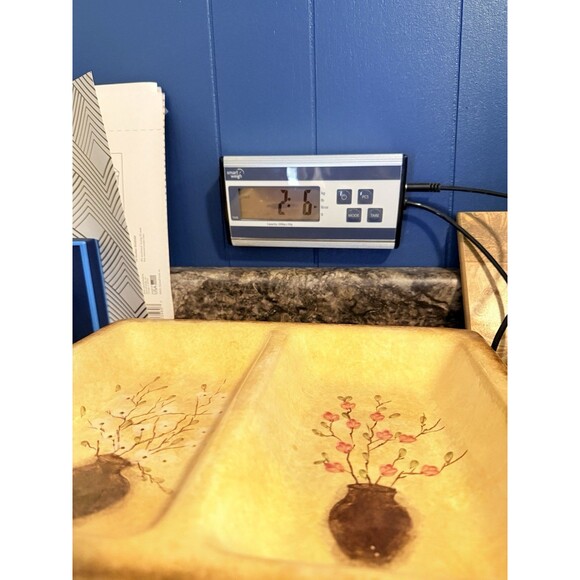 222 Fifth Gold Earth Tones Stoneware Floral Divided Relish Tray or Decor 12x9 - Picture 8 of 9